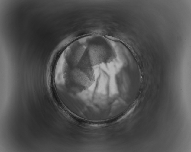 X0000086770149200705111742
