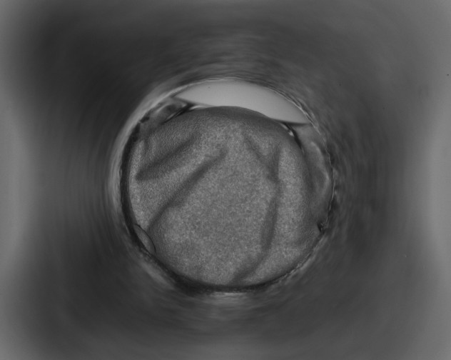 X0000086770150200705111742