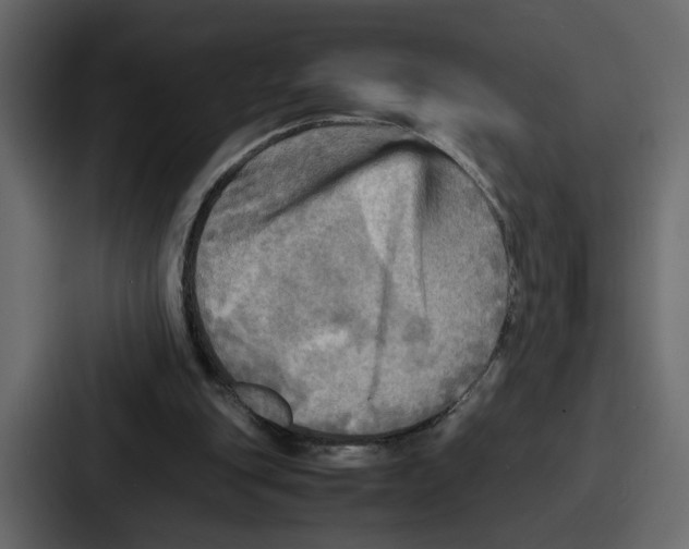 X0000086770151200705111742