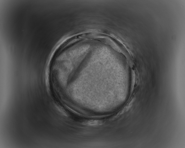 X0000086770152200705111742