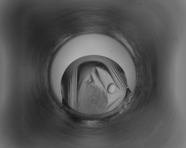 X0000086770154200705111742
