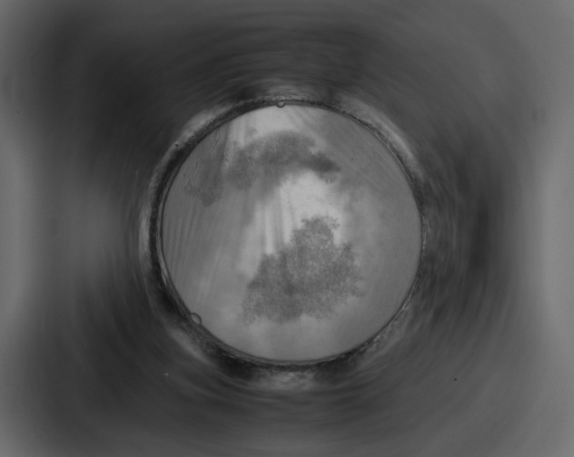 X0000086770155200705111742