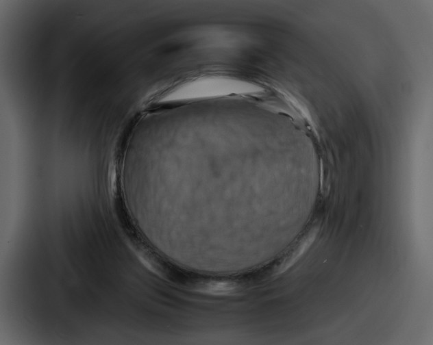 X0000086770157200705111742