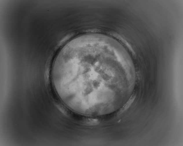 X0000086770159200705111742