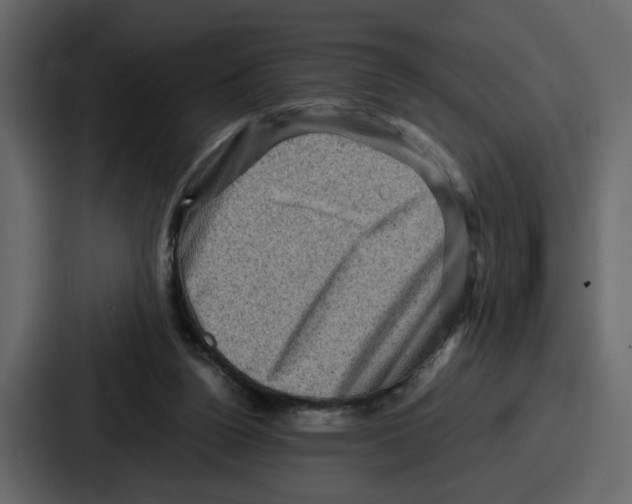 X0000086770160200705111742