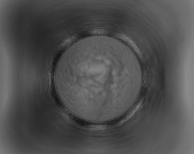 X0000086770161200705111742