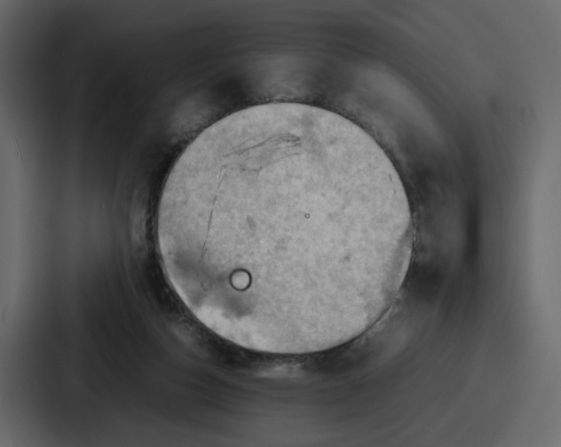 X0000086770162200705111742