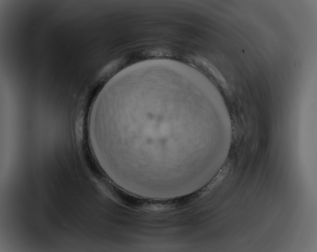X0000086770163200705111742