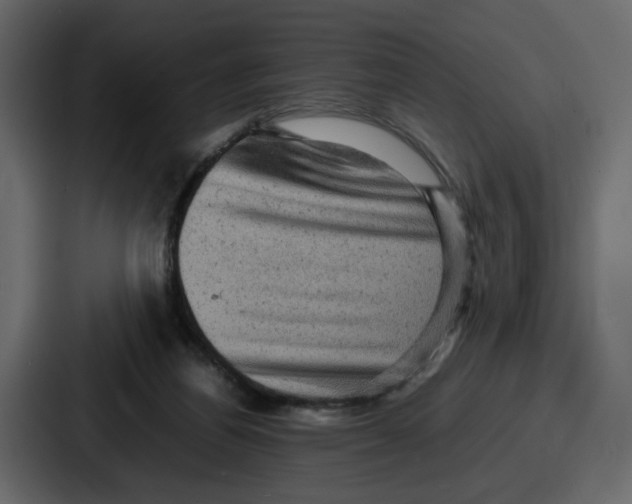 X0000086770164200705111742