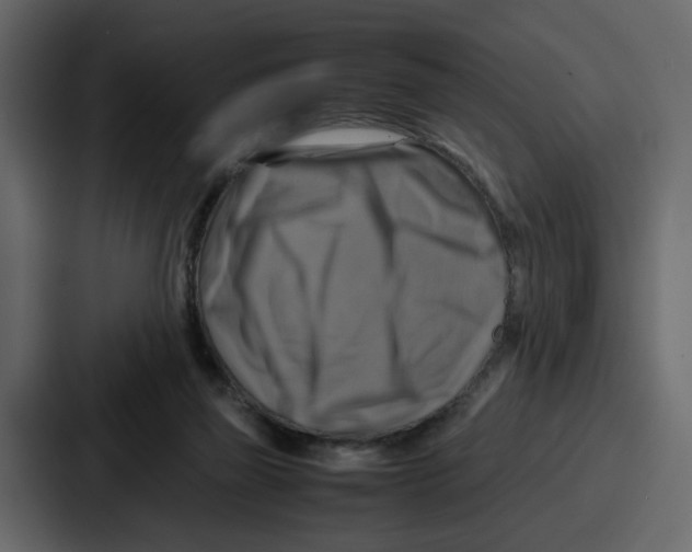 X0000086770165200705111742