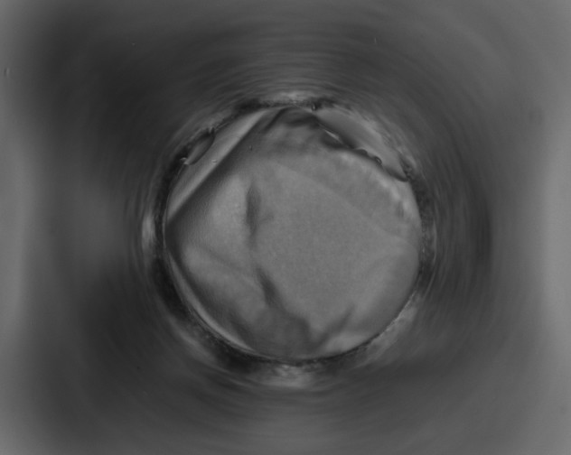X0000086770166200705111742