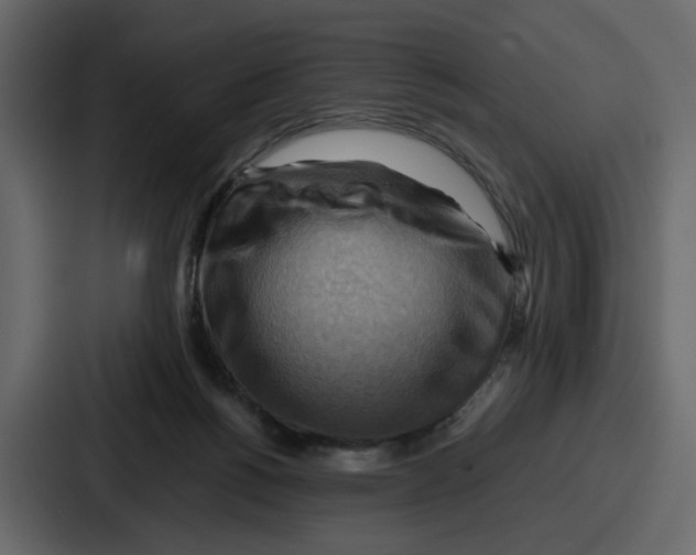 X0000086770168200705111742