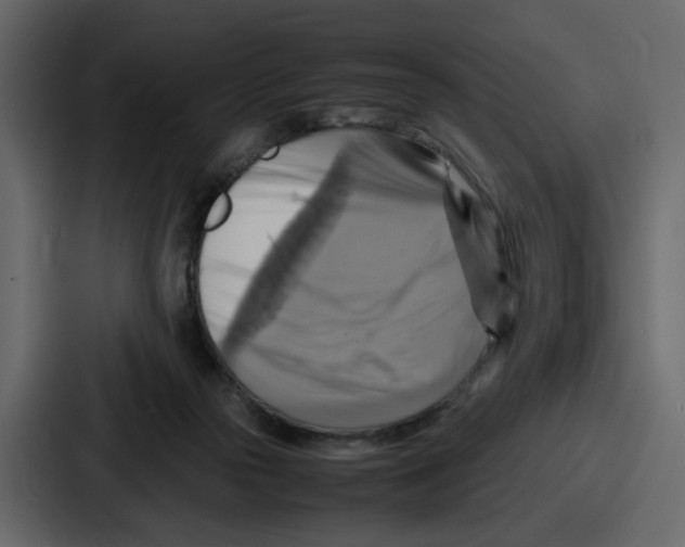 X0000086770169200705111742