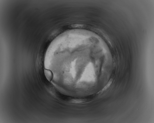 X0000086770171200705111742