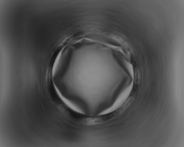 X0000086770172200705111742