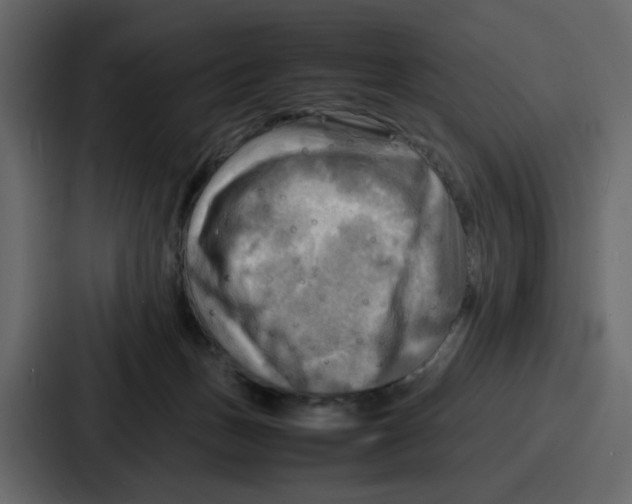 X0000086770175200705111742