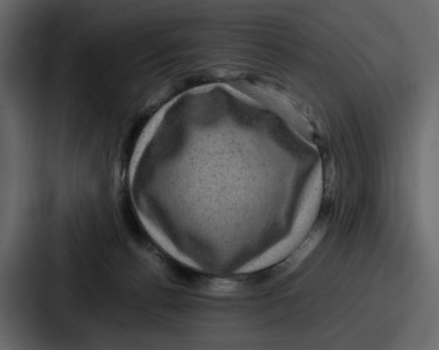 X0000086770176200705111742