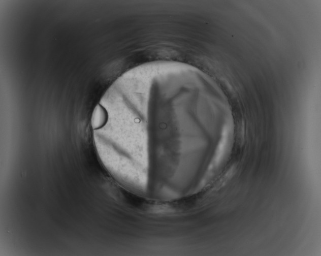 X0000086770177200705111742