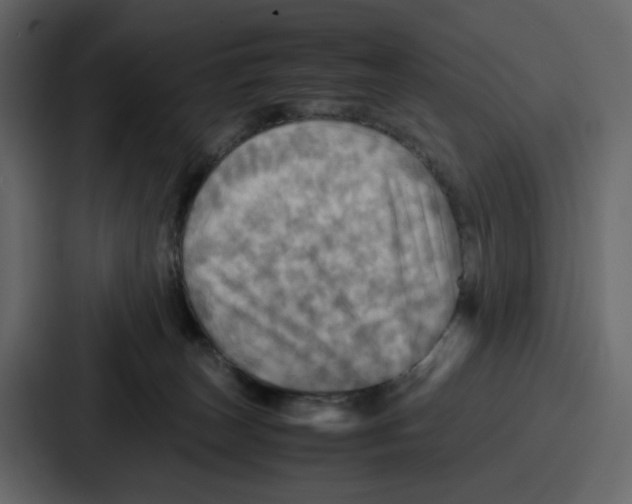 X0000086770179200705111742