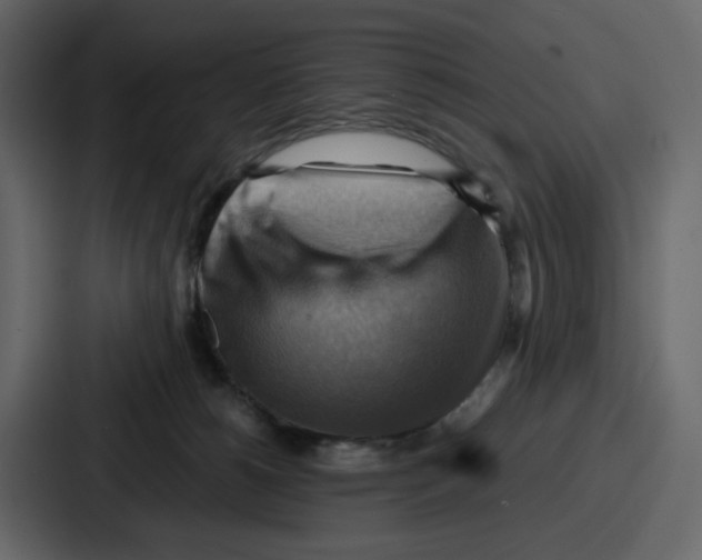 X0000086770180200705111742