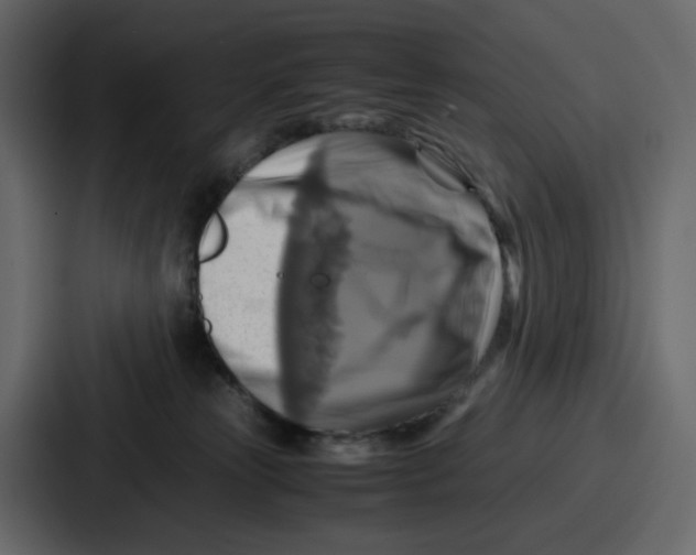 X0000086770181200705111742