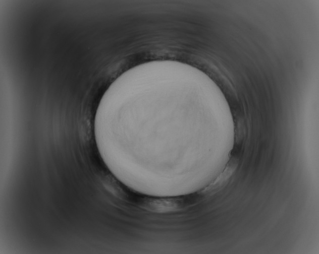 X0000086770183200705111742
