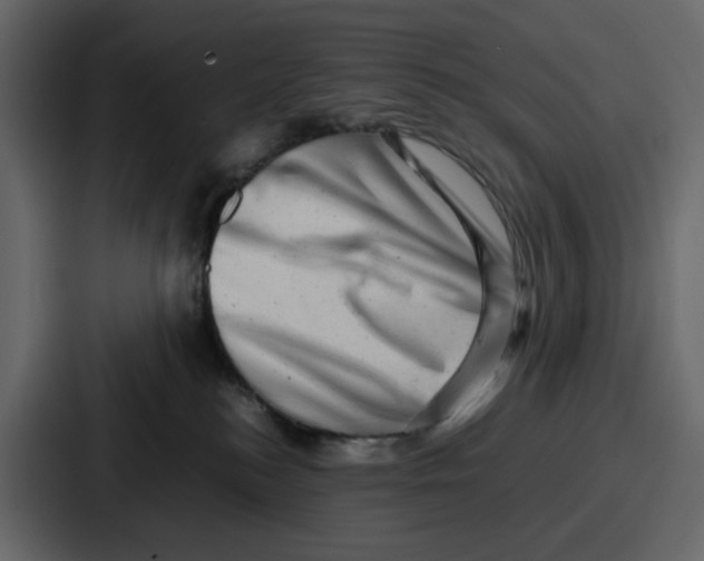 X0000086770184200705111742