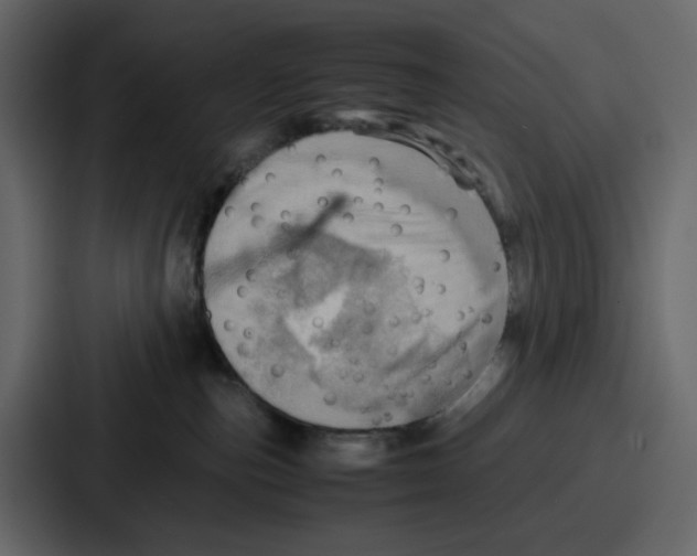 X0000086770187200705111742