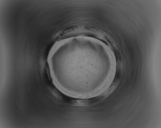 X0000086770188200705111742