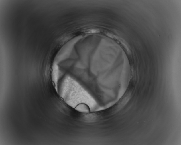 X0000086770189200705111742