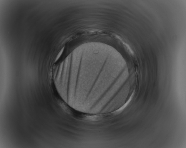 X0000086770190200705111742