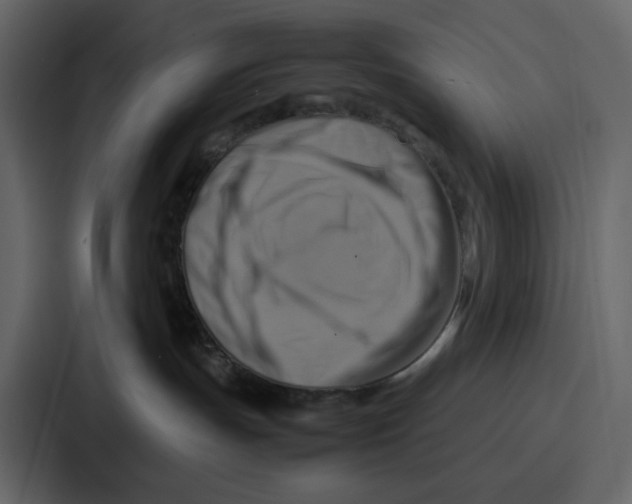 X0000086770191200705111742