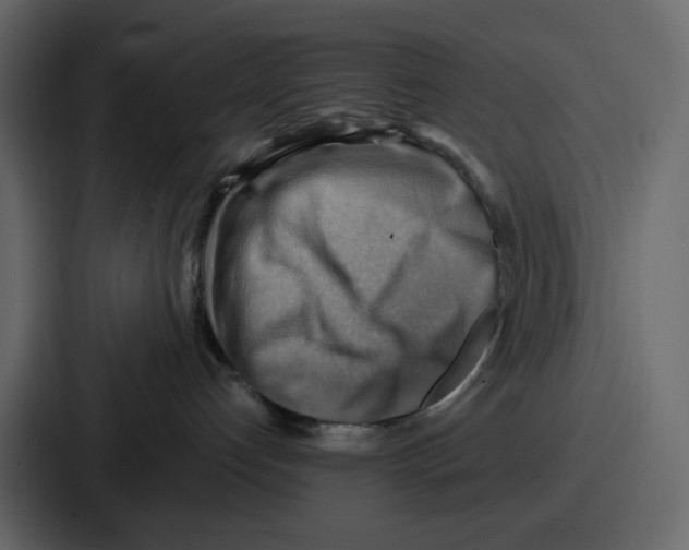 X0000086770192200705111742
