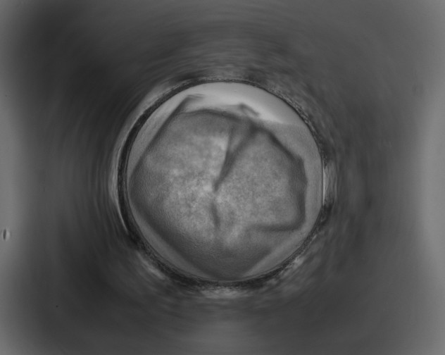 X0000086770195200705111742