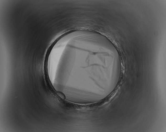 X0000086770196200705111742