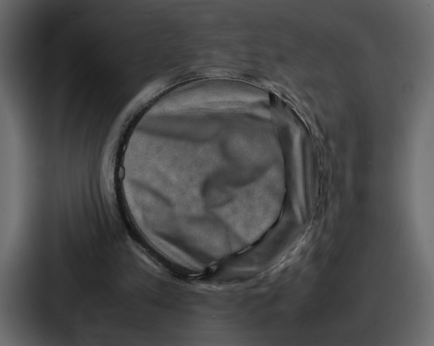 X0000086770197200705111742