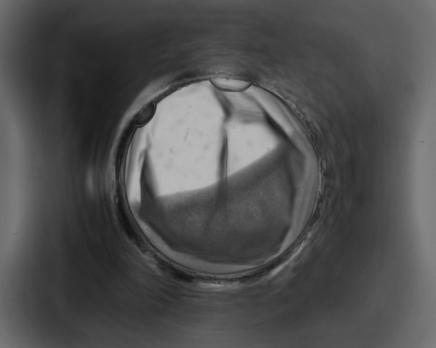X0000086770198200705111742