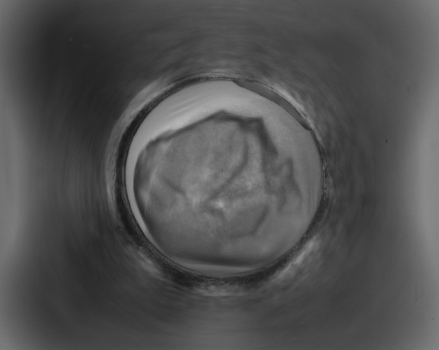 X0000086770199200705111742
