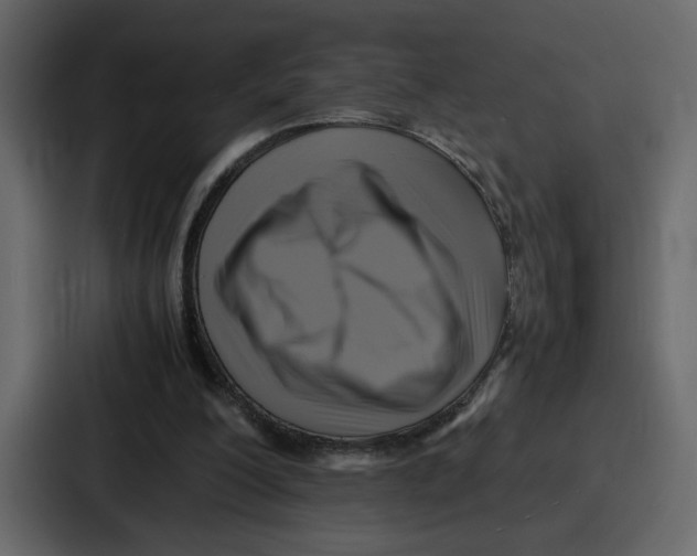 X0000086770200200705111742