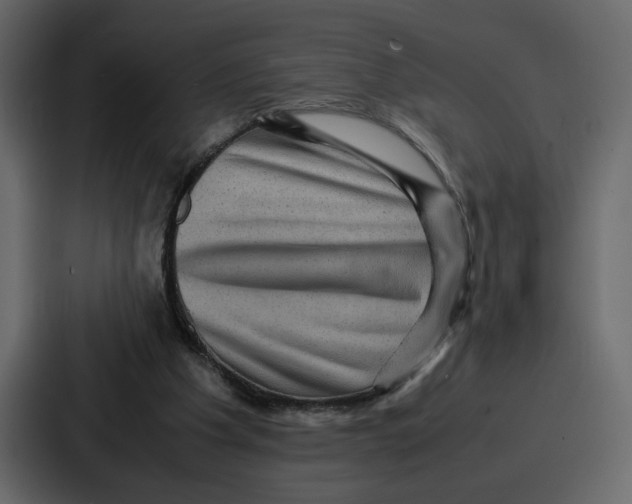 X0000086770201200705111742