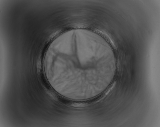 X0000086770202200705111742