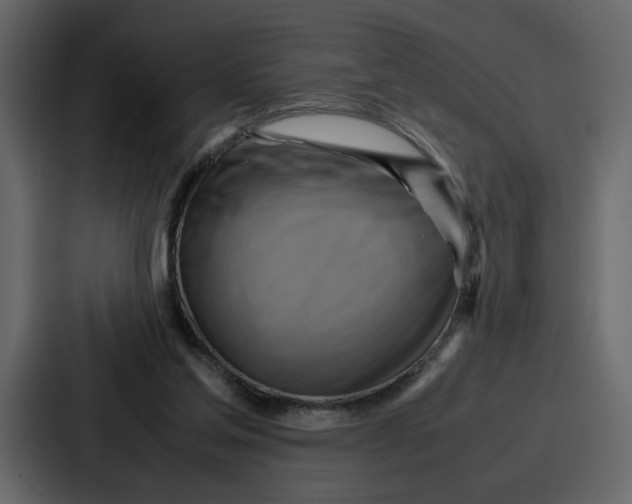 X0000086770205200705111742