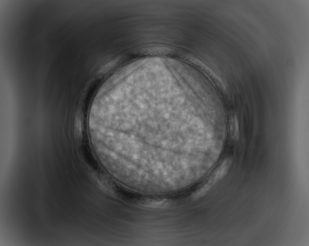 X0000086770206200705111742