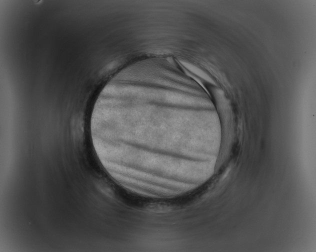 X0000086770207200705111742