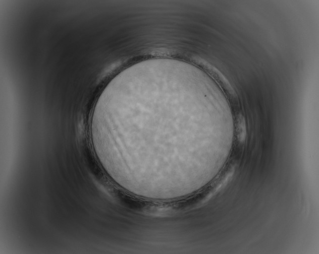X0000086770208200705111742