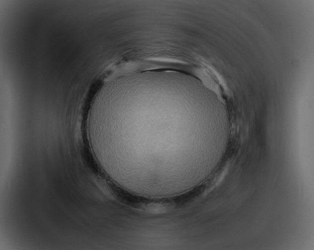 X0000086770209200705111742