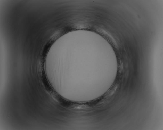 X0000086770210200705111742