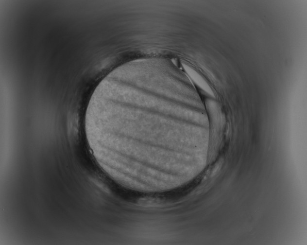 X0000086770211200705111741