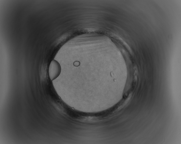 X0000086770212200705111741