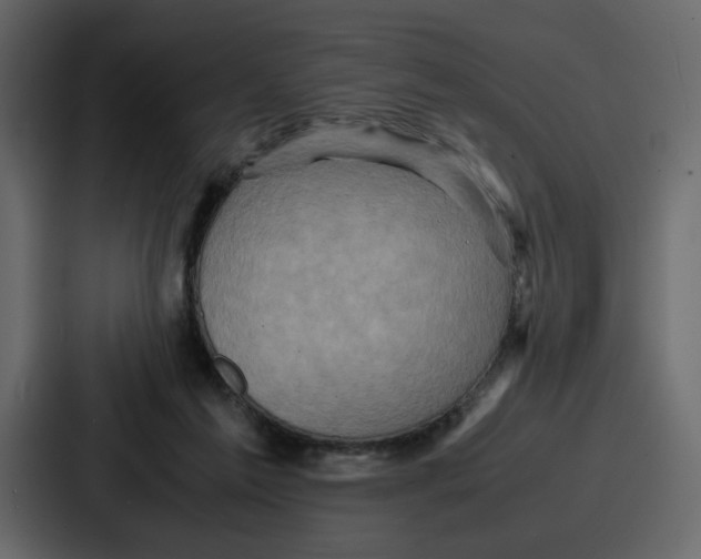 X0000086770213200705111741